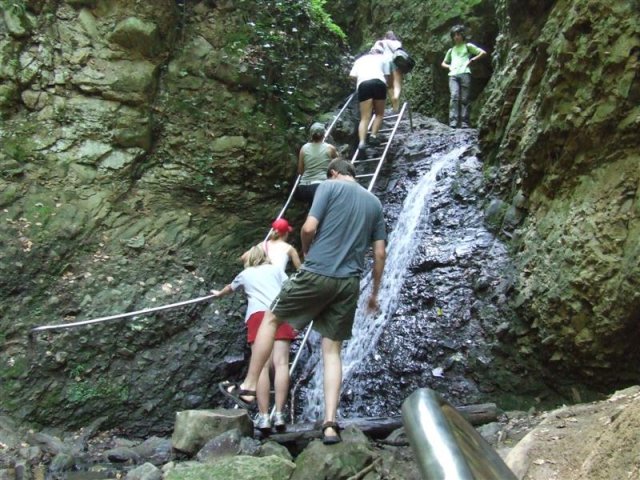 DSCF0166 (Medium)